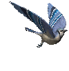 bird-animated-gif-26-665736874.gif