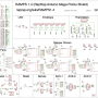 800px-ramps1.4schematic.png