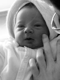  Images/jolan-2.jpg