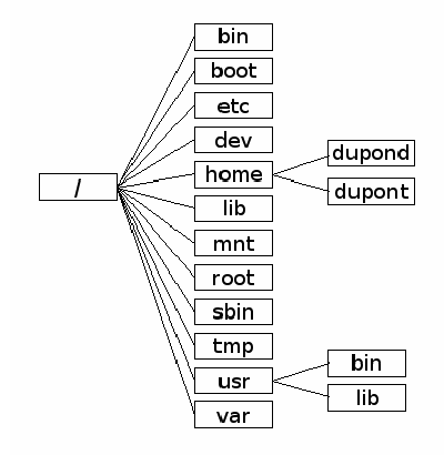 Arborescence Linux