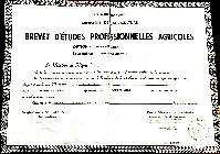 LAUMONIER_JOEL_BEPA_1955.png
